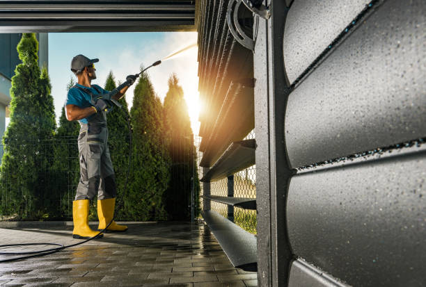 Best Pressure Washing Company Near Me  in Coloma, MI