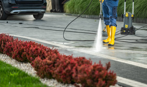 Best Exterior Home Cleaning  in Coloma, MI