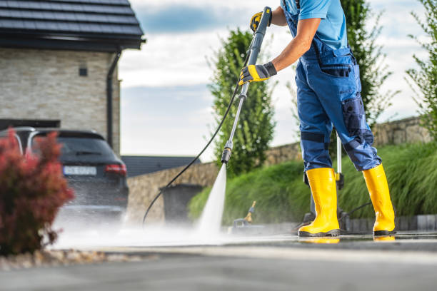 Best Deck Cleaning Services  in Coloma, MI