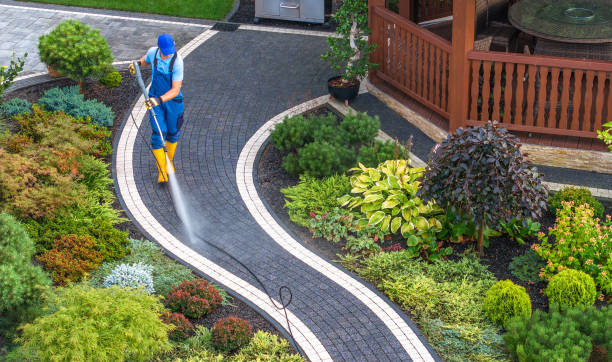 Best Pressure Washing Near Me  in Coloma, MI