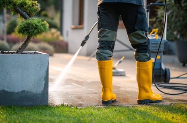 Best Affordable Power Washing  in Coloma, MI